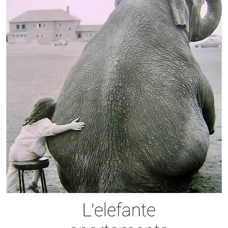 Elefante Pescara